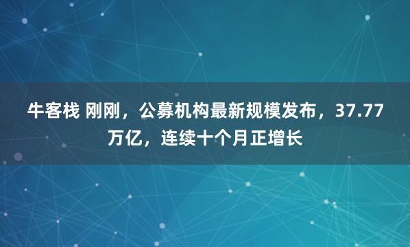牛客栈 刚刚，公募机构最新规模发布，37.77万亿，连续十个月正增长
