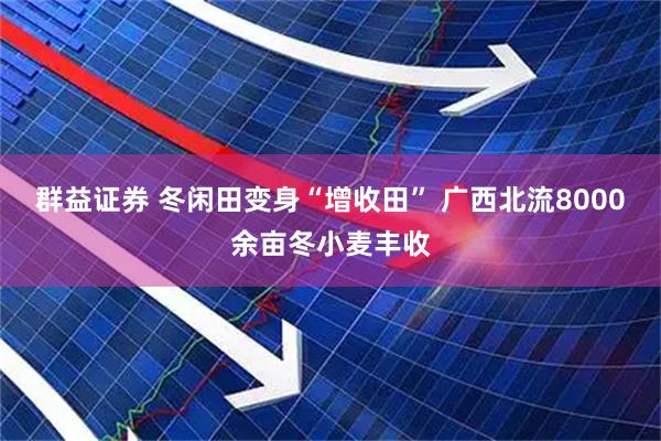 群益证券 冬闲田变身“增收田” 广西北流8000余亩冬小麦丰收