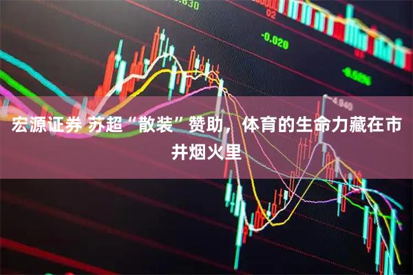 宏源证券 苏超“散装”赞助，体育的生命力藏在市井烟火里