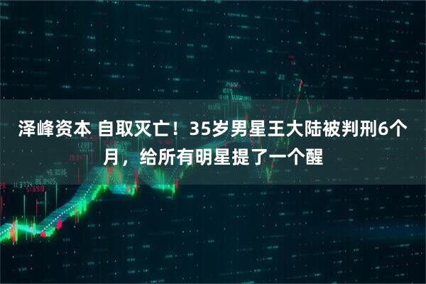 泽峰资本 自取灭亡！35岁男星王大陆被判刑6个月，给所有明星提了一个醒